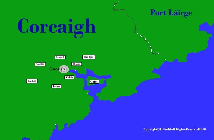 Cork city districts and county map