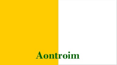 Antrim county flag