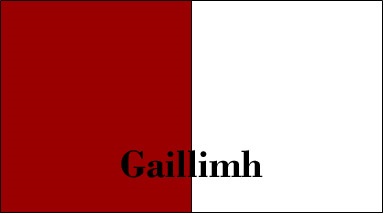 Galway county flag