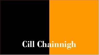 Kilkenny county flag