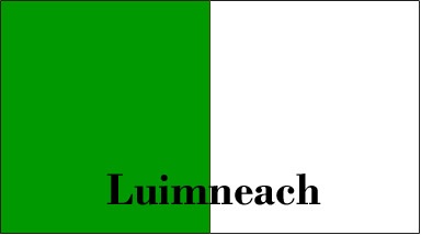 Limerick county flag