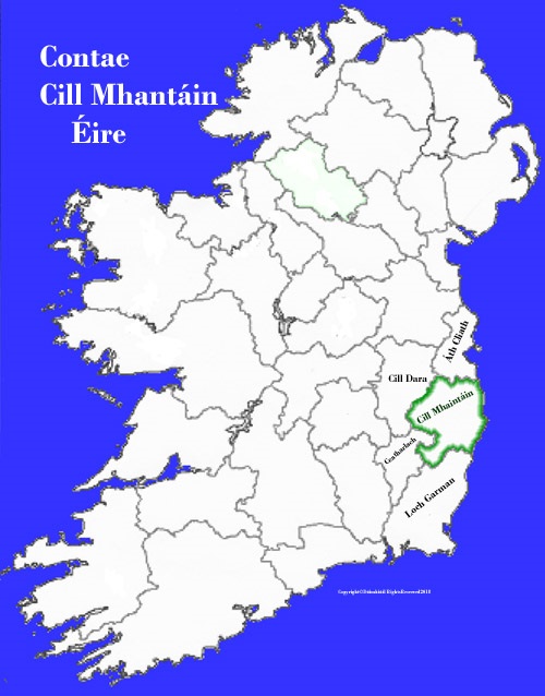 Map of Wicklow county Ireland