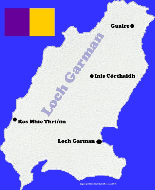 Wexford county map with flag and text