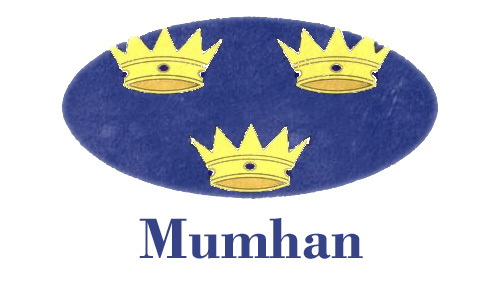 Munster province flag badge Ireland