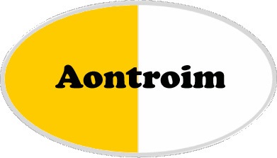 Antrim county flag type badge