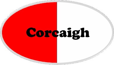 Cork county flag type badge Ireland