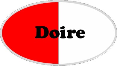 Derry county flag type badge