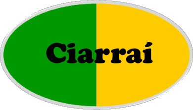 Kerry county flag type badge