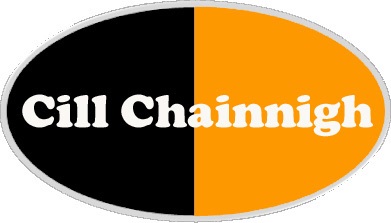 Kilkenny county flag type badge