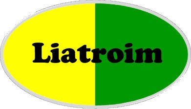 Leitrim county flag type badge