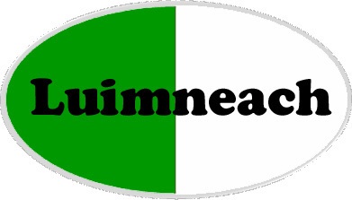 Limerick county flag type badge