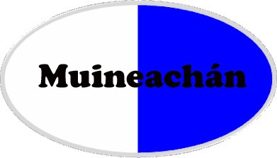 Monaghan county flag type badge