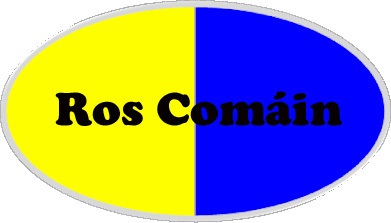 Roscommon county flag type badge