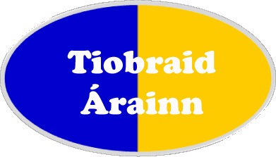 Tipperary county flag type badge